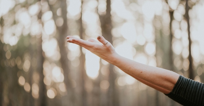 Therapeutic/Deep Tissue Massage Therapy