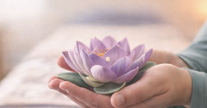 The Story Behind TLC Mobile Massage image